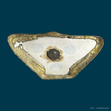 กุมาร 9นิ้ว