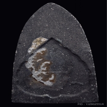 พระหลวงปู่ทวด วัดช้างให้ พิมพ์จัมโบ้