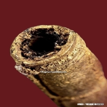 ตะกรุดหนังหน้าผากเสือ หลวงพ่อจง วัดหน้าต่างนอก