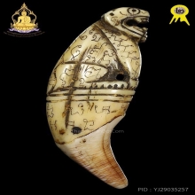 เสือหางดาบ(นิยม)หลวงพ่อสาย เต็มเขี้ยวดีกรีรองแชมป์งานสามพราน