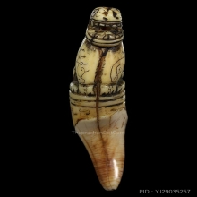 เสือหางดาบ(นิยม)หลวงพ่อสาย เต็มเขี้ยวดีกรีรองแชมป์งานสามพราน