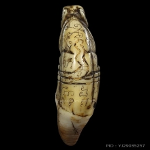 เสือหางดาบ(นิยม)หลวงพ่อสาย เต็มเขี้ยวดีกรีรองแชมป์งานสามพราน