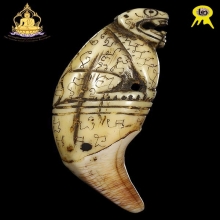 เสือหางดาบ(นิยม)หลวงพ่อสาย เต็มเขี้ยวดีกรีรองแชมป์งานสามพราน