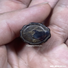 องคตหลวงพ่อปาน วัดบางกระสอบ จ.สมุทรปราการ