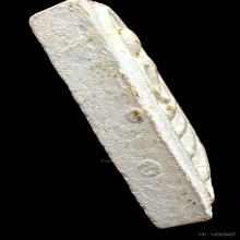 พระสมเด็จหลวงพ่อแพ วัดพิกุลทอง แพ4พัน องค์ที่2