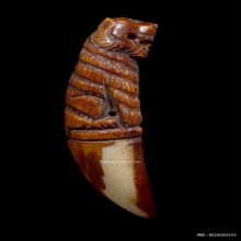 เขี้ยวเสือแกะหลวงปู่กาหลง วัดเขาแหลม จ.สระแก้ว