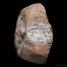 พระหลวงพ่อปาน วัดบางนมโค ปี2460 รุ่นแรก