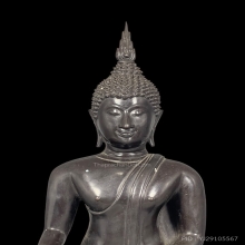 พระพุทธสาลวิสัยมงคล ภปร