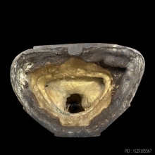 พระพุทธสาลวิสัยมงคล ภปร