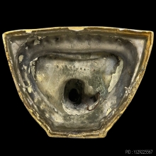 หลวงพ่อชัยพฤกษ์ 