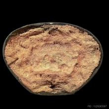 พระสังกัจจายน์ รัชกาล 