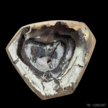 พระพุทธเทพพิชัยมงคลรังษี  