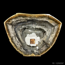 พระพุทธศิรมงคล ภปร. 