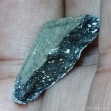 พระปิลันทน์วัดระฆังพิมพ์ปรกโพธิ์