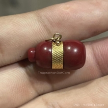 น้ำเต้าดูดทรัพย์เลี่ยมทอง