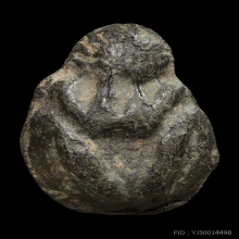 ปู่บัว วัดรวก เนื้อชินตะกั่ว