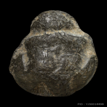 ปู่บัว วัดรวก เนื้อชินตะกั่ว