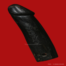 >>>..,ปลัดขิกหลวงพ่อนวม วัดปทุมวัน ไม้กัลปังหา จารเหล็ก