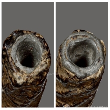 ตะกรุดหลวงปู่ศุข ( ลงทองเดิมสวยงาม )