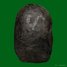 พระสีวลีไม่มีย่ามหลวงพ่อกวย วัดบ้านแค