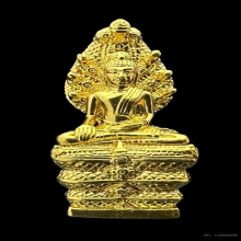 #พระทองคำ.. พระนาคปรก ส.ธ. 60 พรรษา