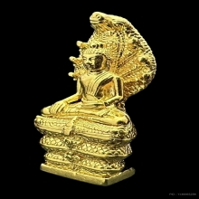 #พระทองคำ.. พระนาคปรก ส.ธ. 60 พรรษา