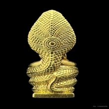 #พระทองคำ.. พระนาคปรก ส.ธ. 60 พรรษา