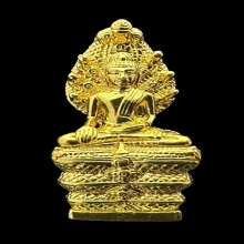 #พระทองคำ.. พระนาคปรก ส.ธ. 60 พรรษา