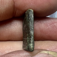 พระวัดระฆังหลังฆ้อน สวยจัดแท้นับหนึ่งนิยมสุดๆ