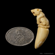 +บัตรสมาคม เขี้ยวแกะ เสือหลวงพ่อคง วัดวังสรรพรส