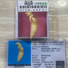 +บัตรสมาคม เขี้ยวแกะ เสือหลวงพ่อคง วัดวังสรรพรส