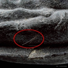 พระปิดตาปลดหนี้ หลังยันต์นะ หลวงปู่โต๊ะ