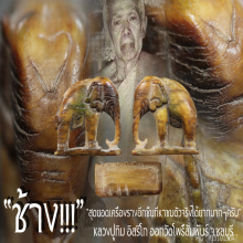 “ช้าง” หลวงปู่ทิม อิสริโก ออกวัดโพธิ์สัมพันธ์ จ.ชลบุรี