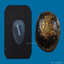 ๙ “ไข่นกคุ้มวัดราชโยธา” หมากทุยหลวงปู่ทอง วัดราชโยธา ๙