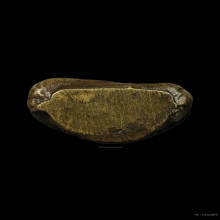 พ่อแก้ว วัดนาห้วย