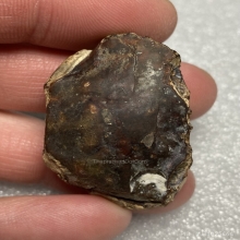 คตปูกลายเป็นหิน ของทนสิทธิ์มีฤทธิ์ในตัว