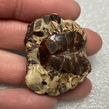 คตปูกลายเป็นหิน ของทนสิทธิ์มีฤทธิ์ในตัว