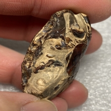 คตปูกลายเป็นหิน ของทนสิทธิ์มีฤทธิ์ในตัว