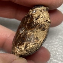 คตปูกลายเป็นหิน ของทนสิทธิ์มีฤทธิ์ในตัว