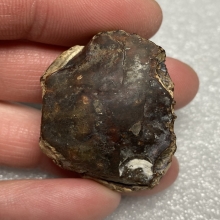 คตปูกลายเป็นหิน ของทนสิทธิ์มีฤทธิ์ในตัว