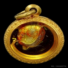 เต่าจิ๋วในน้ำมันจันทร์ หลวงพ่อสนิท วัดลำบัวลอย