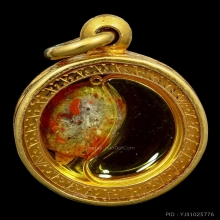 เต่าจิ๋วในน้ำมันจันทร์ หลวงพ่อสนิท วัดลำบัวลอย