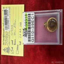 เต่าจิ๋วในน้ำมันจันทร์ หลวงพ่อสนิท วัดลำบัวลอย