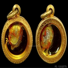 เต่าจิ๋วในน้ำมันจันทร์ หลวงพ่อสนิท วัดลำบัวลอย