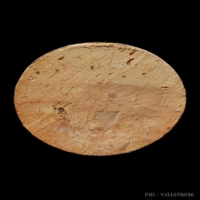 +บัตรสมาคม จันทร์ลอยหลวงปู่ดู่ เนื้อดินเผา วัดสะแก