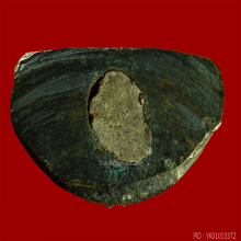 หลวงพ่อเรือง ปั้มรุ่นแรก วัดหัววังบล็อกจีวรเฉียงปี2513