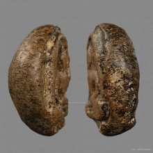 พระซุ้มกอ