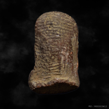 พระรอดหัวข่วง กรุวัดหัวข่วง เชียงใหม่