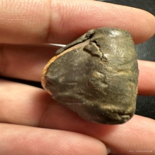 เบี้ยแก้ พ่อเที่ยง น่วมมานา