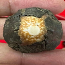 เบี้ยแก้ พ่อเที่ยง น่วมมานา